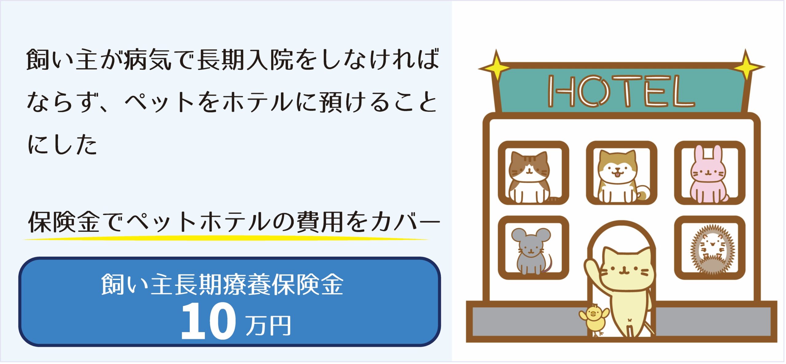 飼い主が入院
